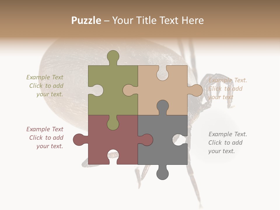 Small Isolated On White Brown PowerPoint Template