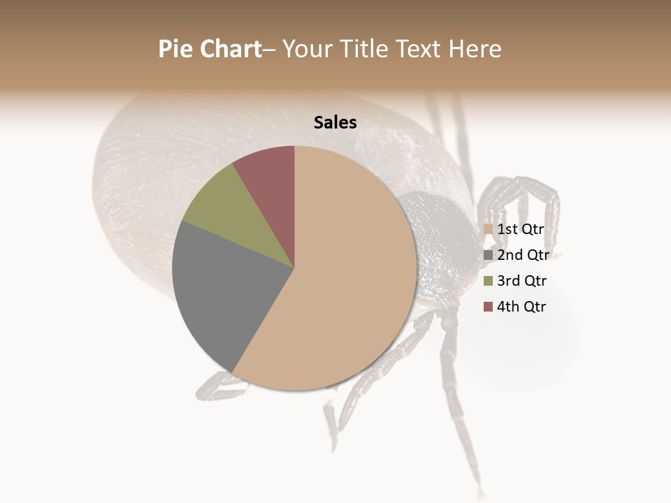 Small Isolated On White Brown PowerPoint Template