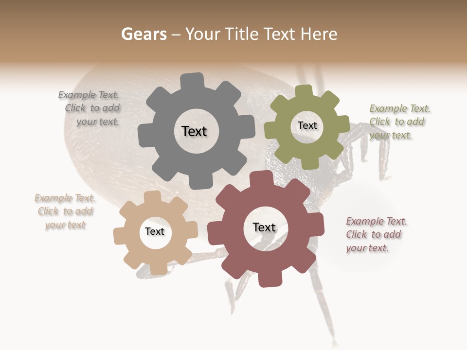 Small Isolated On White Brown PowerPoint Template