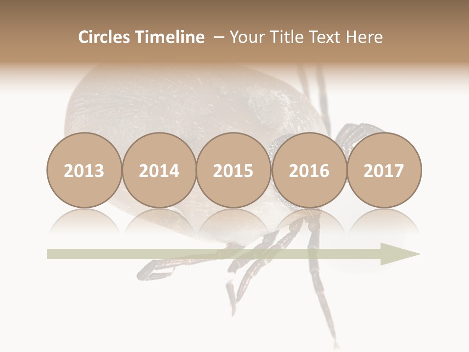 Small Isolated On White Brown PowerPoint Template