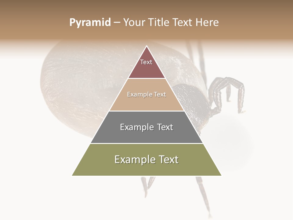 Small Isolated On White Brown PowerPoint Template