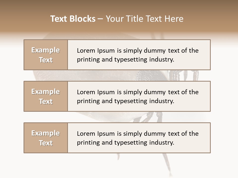 Small Isolated On White Brown PowerPoint Template