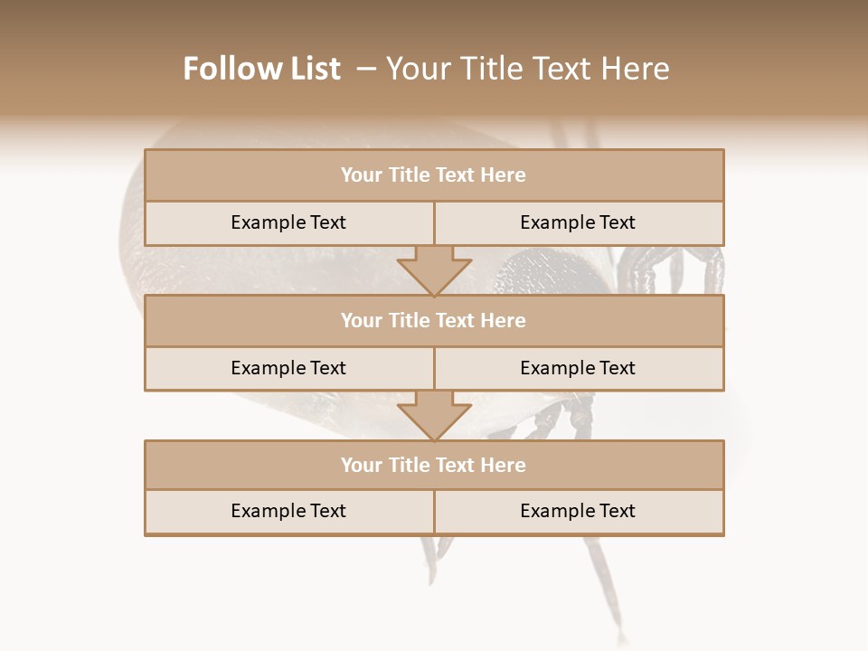 Small Isolated On White Brown PowerPoint Template