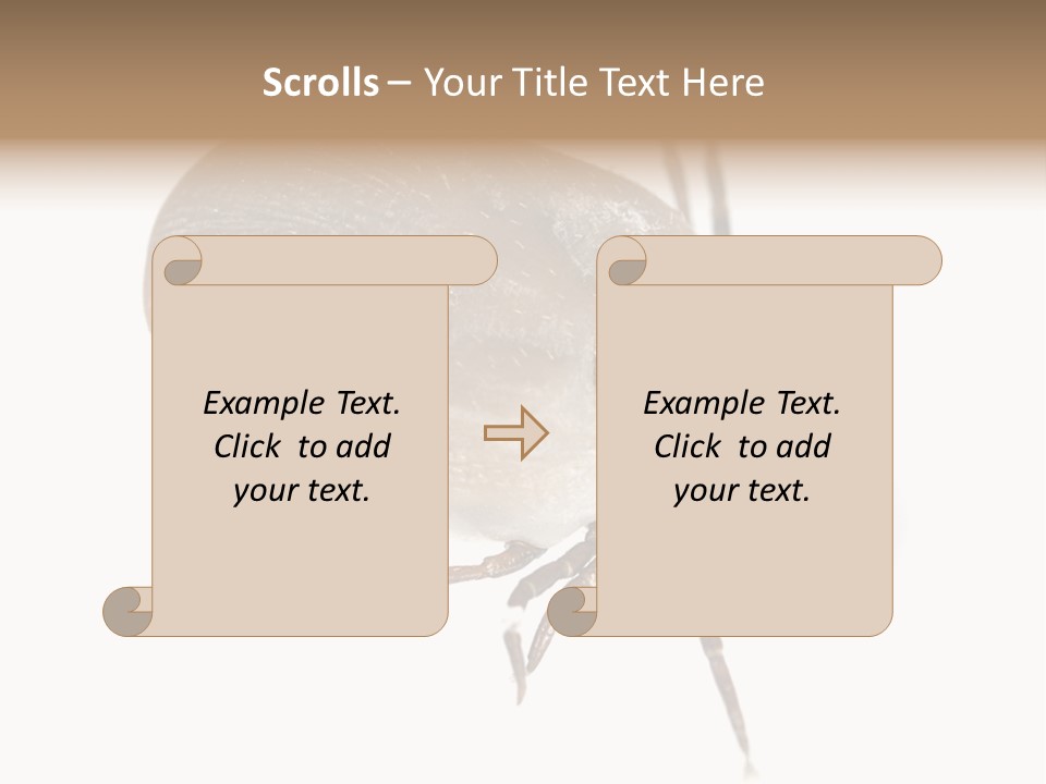 Small Isolated On White Brown PowerPoint Template