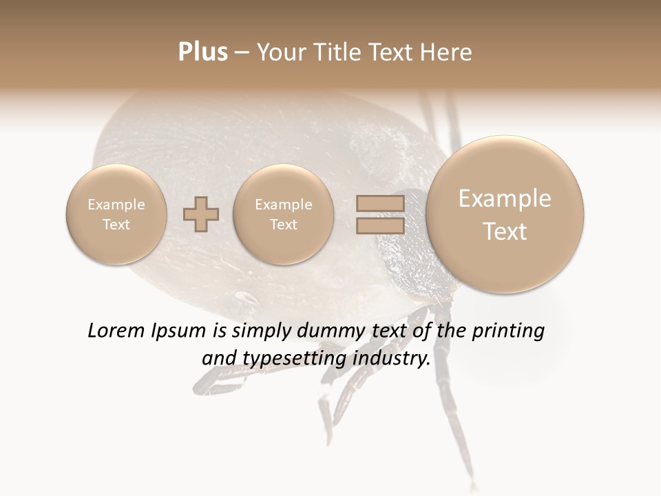 Small Isolated On White Brown PowerPoint Template