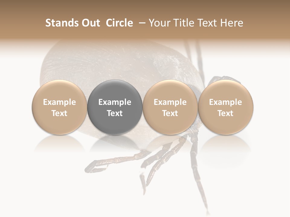Small Isolated On White Brown PowerPoint Template