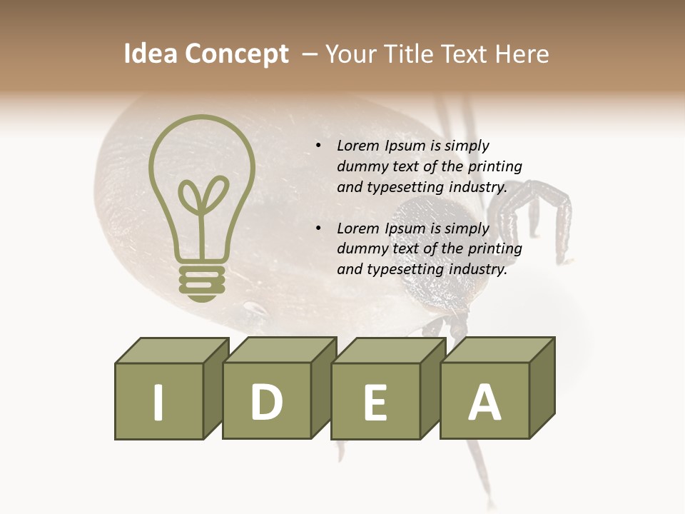 Small Isolated On White Brown PowerPoint Template