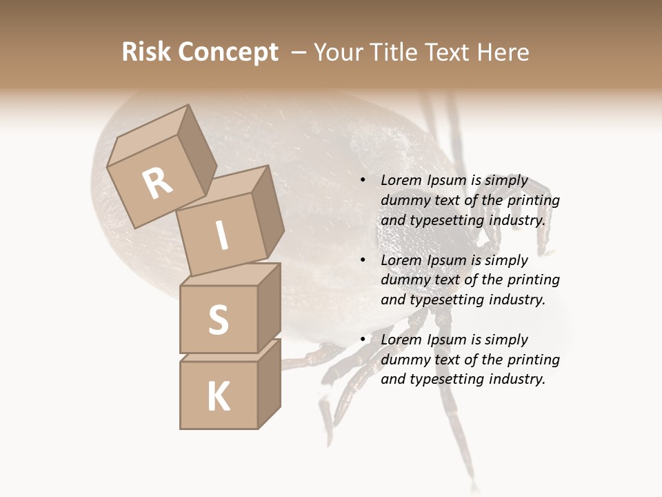 Small Isolated On White Brown PowerPoint Template