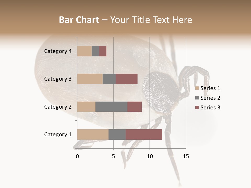 Small Isolated On White Brown PowerPoint Template