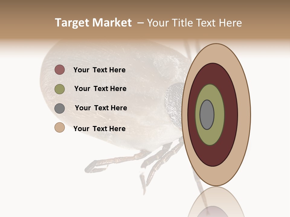 Small Isolated On White Brown PowerPoint Template