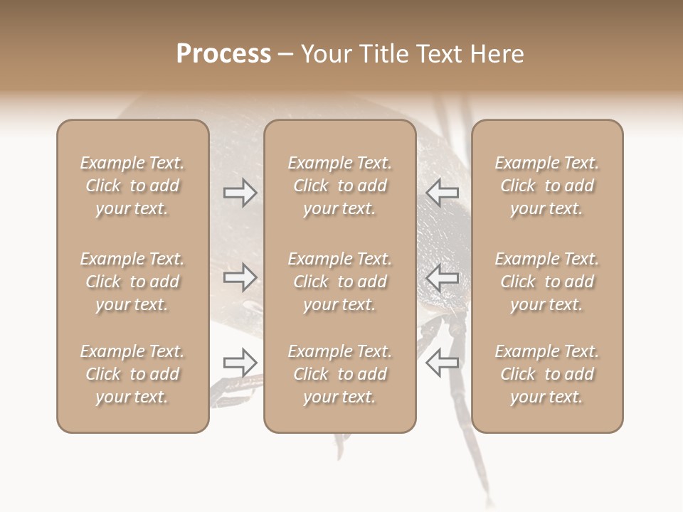 Small Isolated On White Brown PowerPoint Template