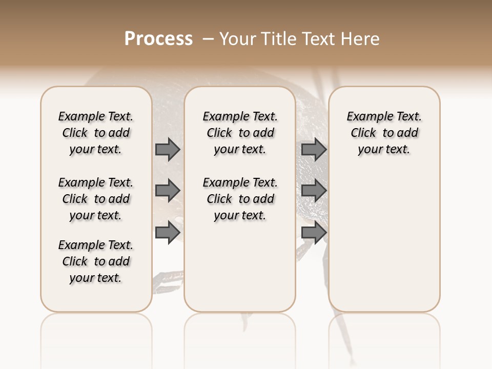 Small Isolated On White Brown PowerPoint Template