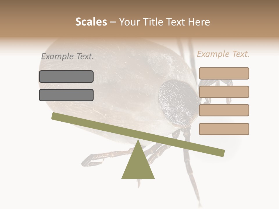 Small Isolated On White Brown PowerPoint Template