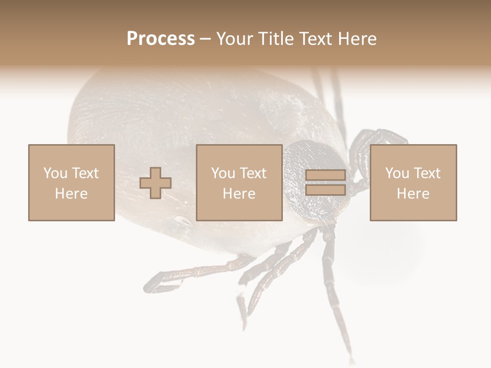 Small Isolated On White Brown PowerPoint Template