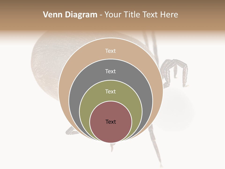 Small Isolated On White Brown PowerPoint Template