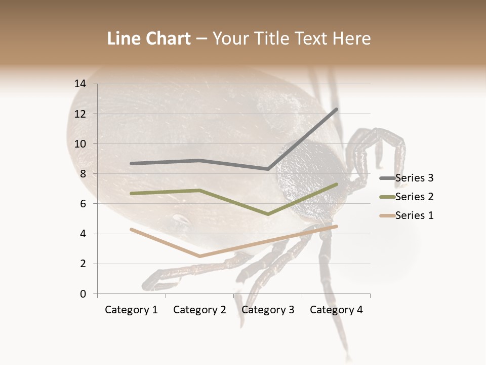 Small Isolated On White Brown PowerPoint Template