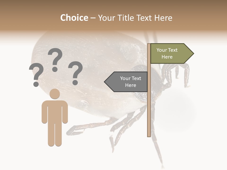 Small Isolated On White Brown PowerPoint Template