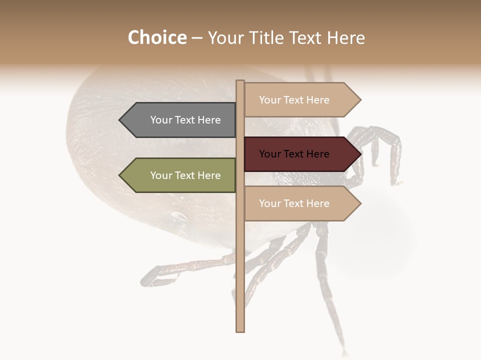 Small Isolated On White Brown PowerPoint Template