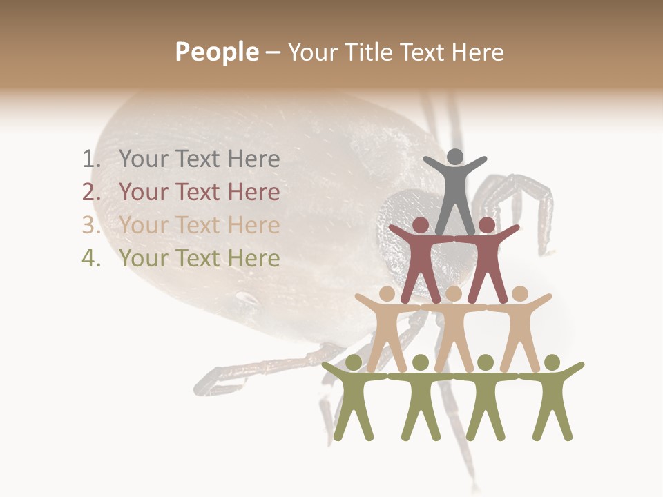 Small Isolated On White Brown PowerPoint Template