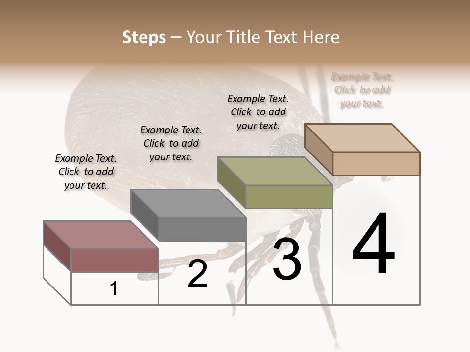 Small Isolated On White Brown PowerPoint Template