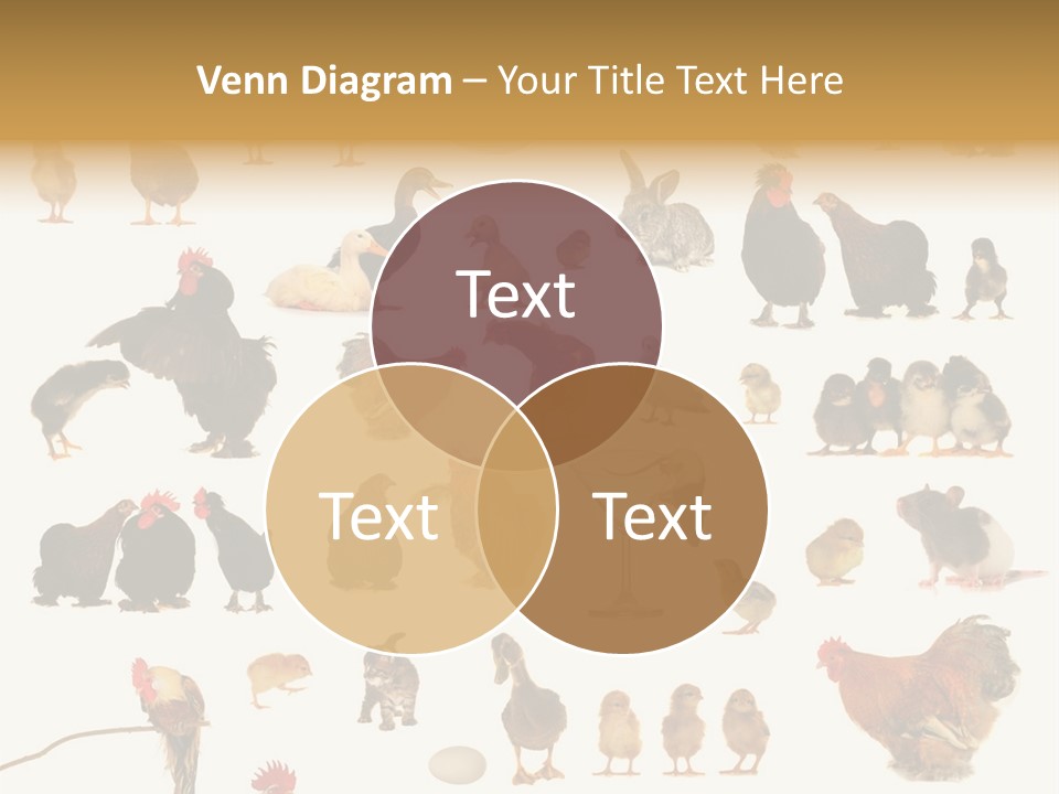 Glass Holiday Interesting PowerPoint Template