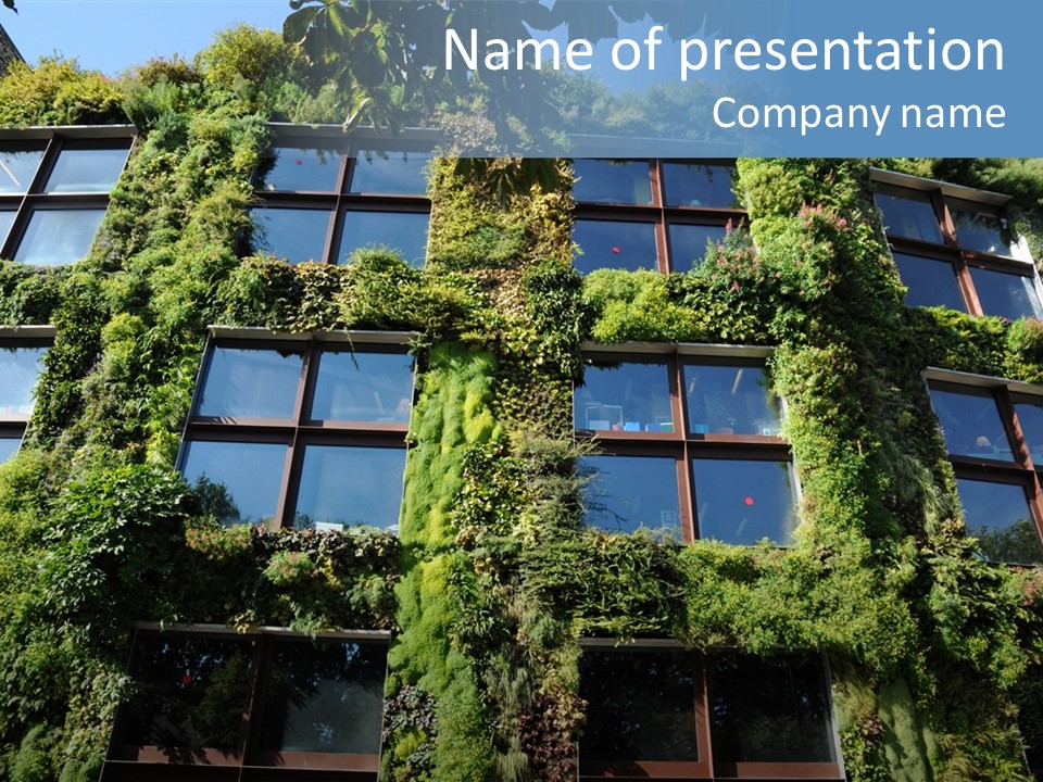 A Building Covered In Lots Of Green Plants PowerPoint Template