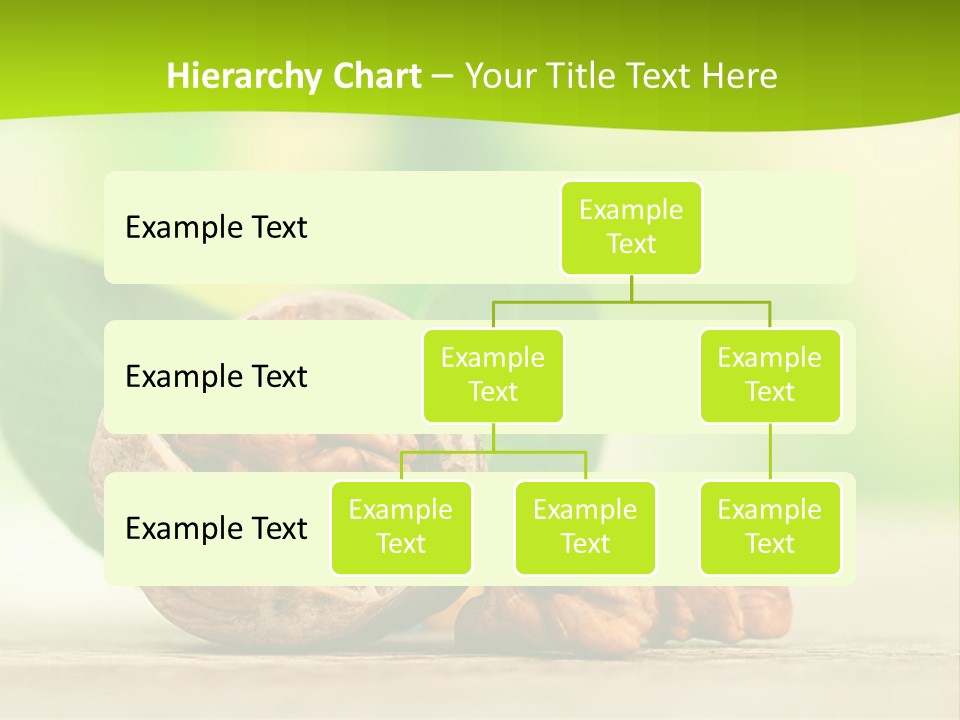 Walnuts And Leaves On A Table With A Green Background PowerPoint Template