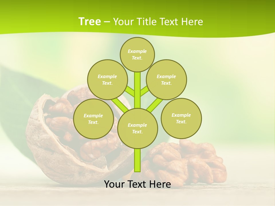 Walnuts And Leaves On A Table With A Green Background PowerPoint Template