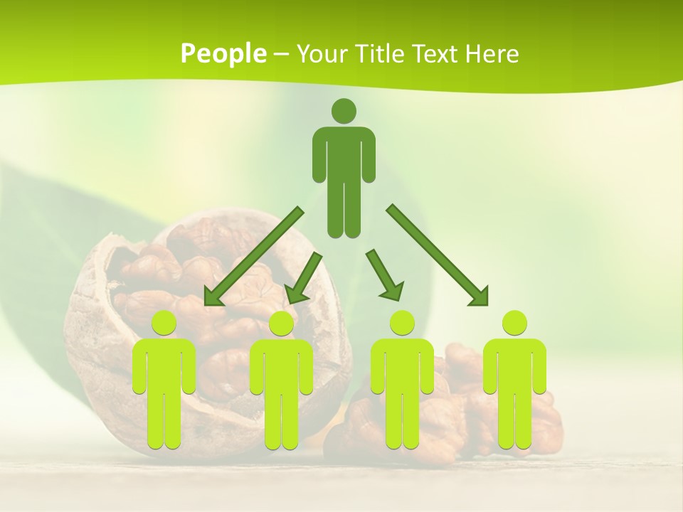 Walnuts And Leaves On A Table With A Green Background PowerPoint Template