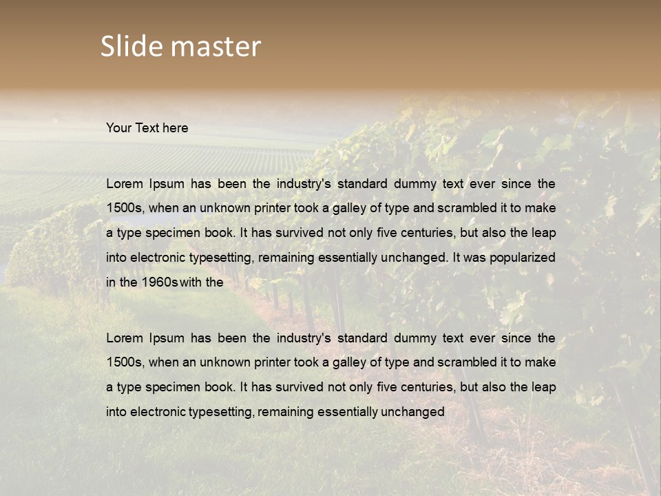 Countryside Landscape Winery PowerPoint Template