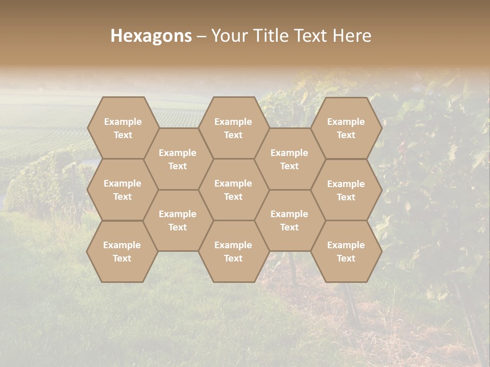 Countryside Landscape Winery PowerPoint Template