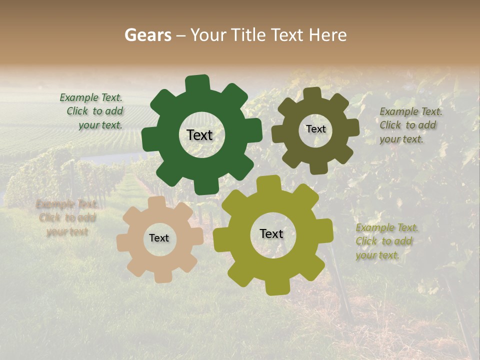 Countryside Landscape Winery PowerPoint Template