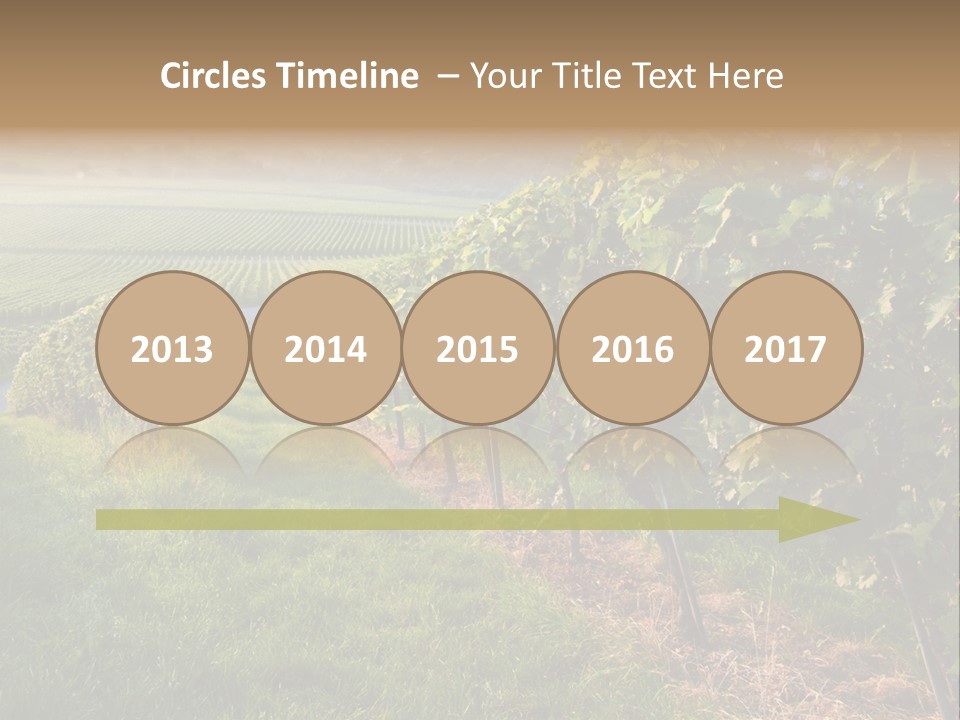 Countryside Landscape Winery PowerPoint Template