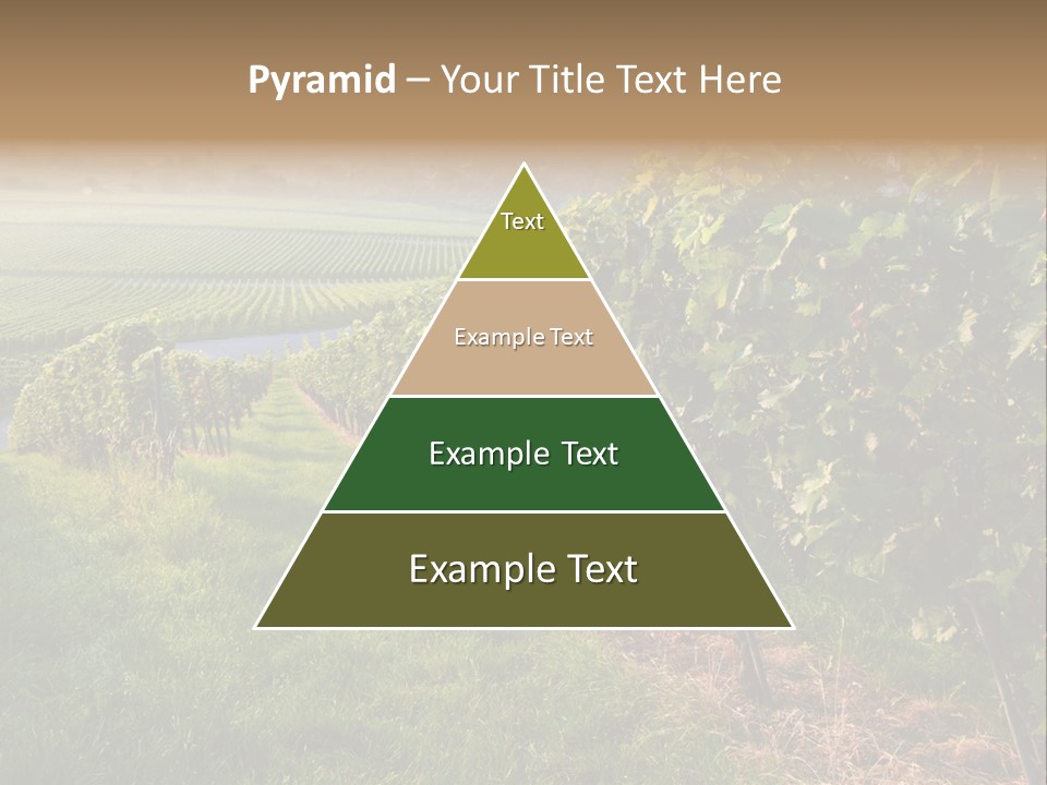 Countryside Landscape Winery PowerPoint Template