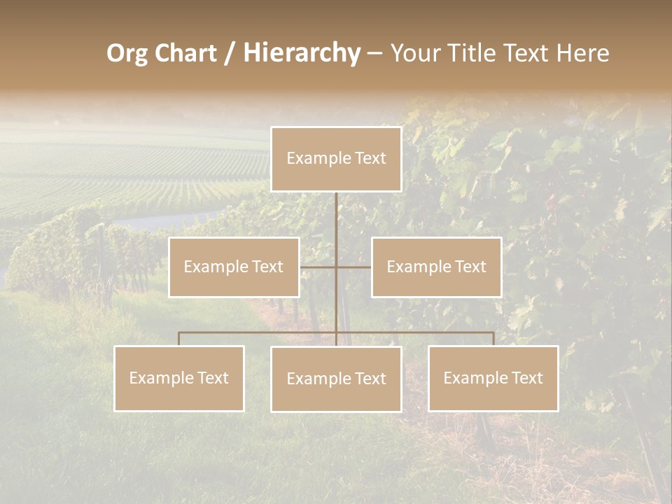 Countryside Landscape Winery PowerPoint Template