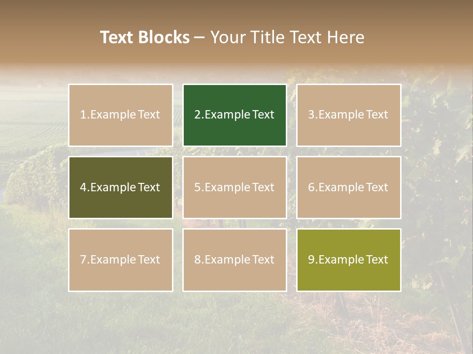 Countryside Landscape Winery PowerPoint Template