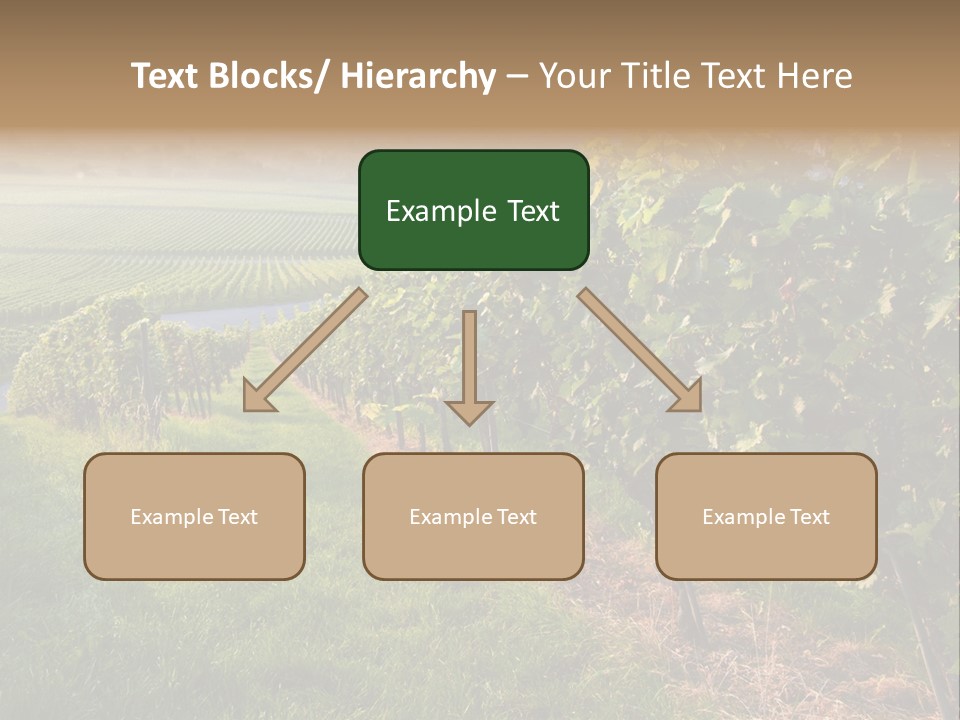 Countryside Landscape Winery PowerPoint Template