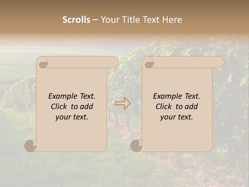 Countryside Landscape Winery PowerPoint Template
