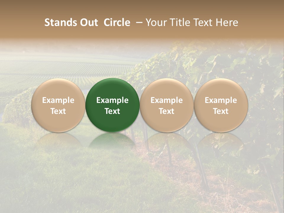 Countryside Landscape Winery PowerPoint Template
