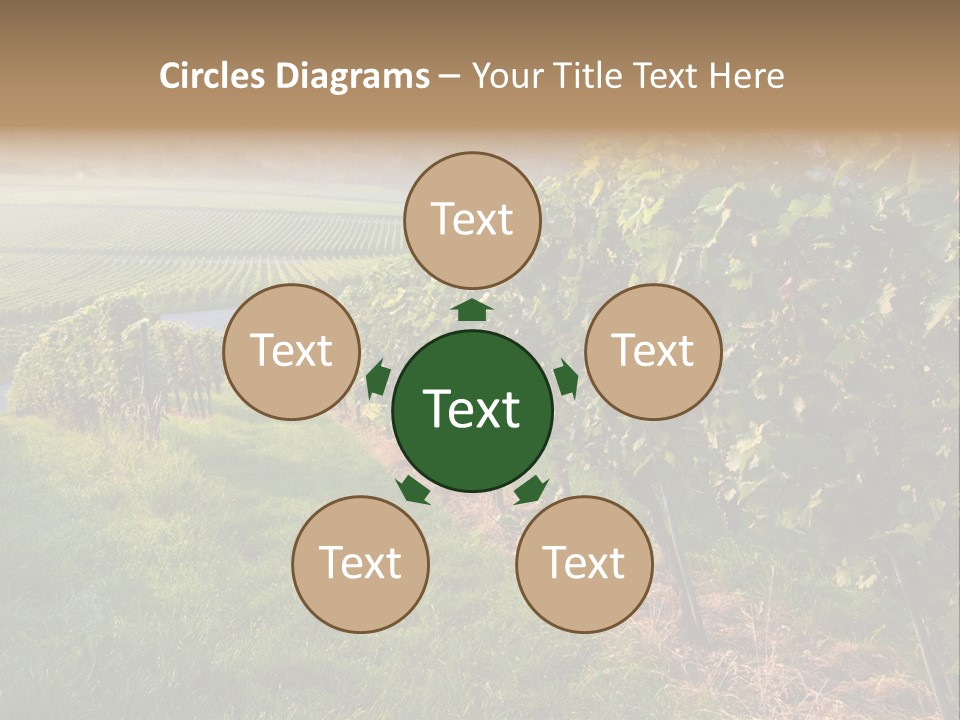 Countryside Landscape Winery PowerPoint Template