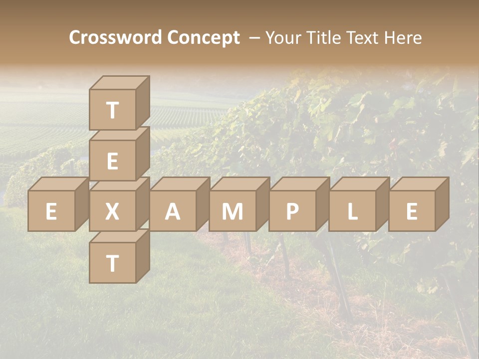 Countryside Landscape Winery PowerPoint Template