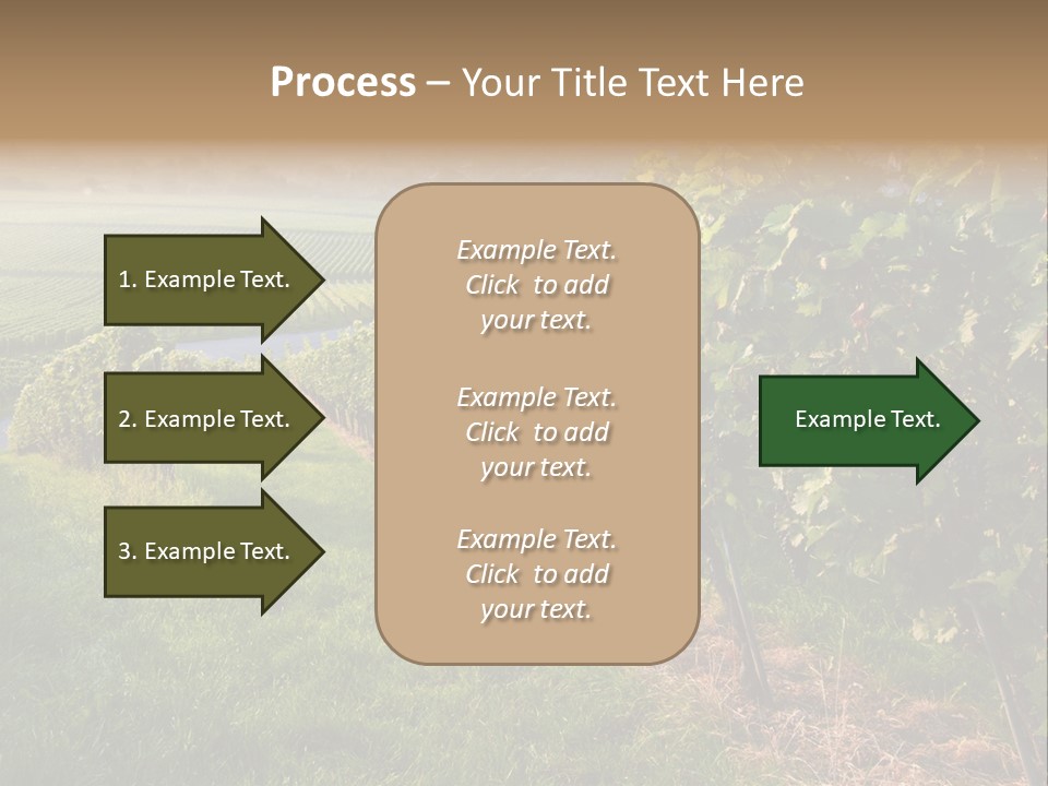 Countryside Landscape Winery PowerPoint Template