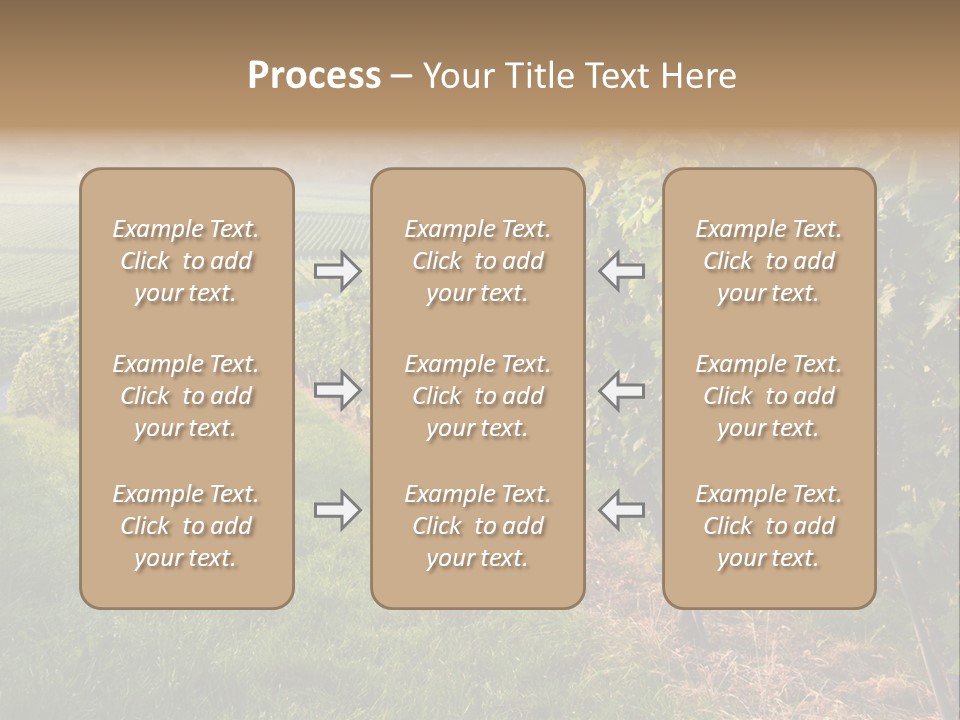 Countryside Landscape Winery PowerPoint Template