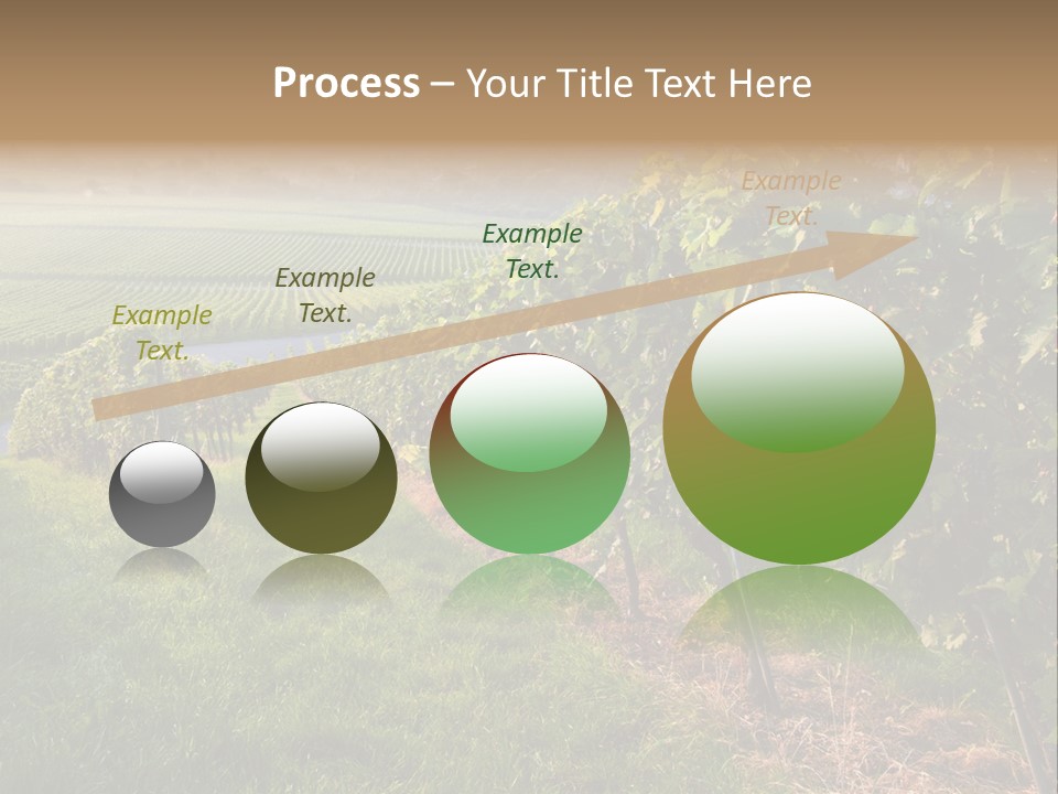 Countryside Landscape Winery PowerPoint Template