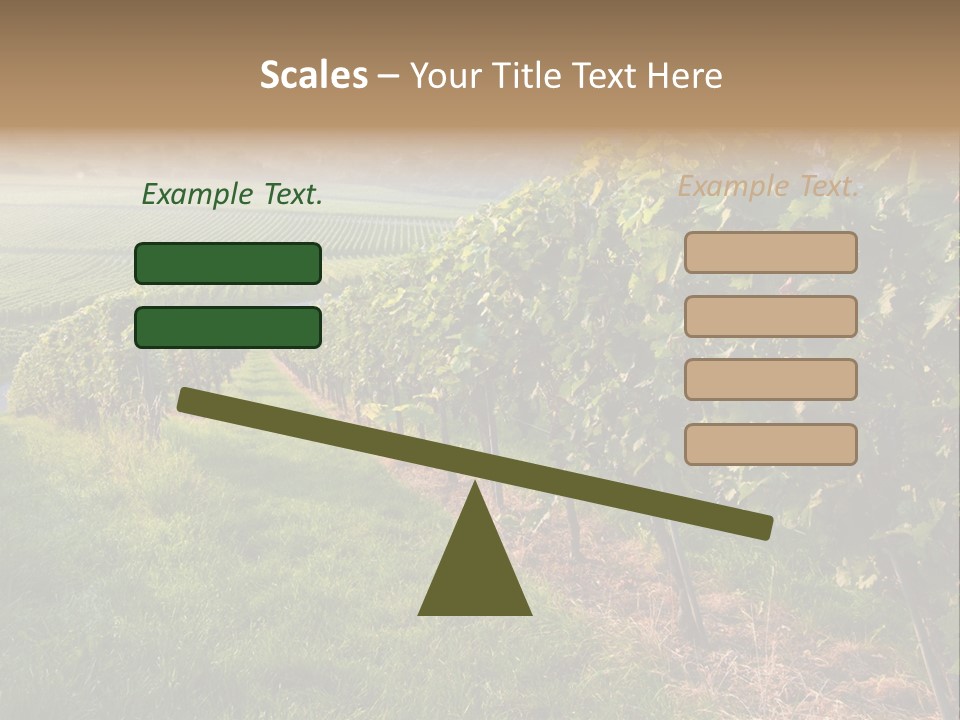 Countryside Landscape Winery PowerPoint Template