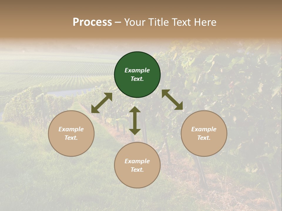 Countryside Landscape Winery PowerPoint Template