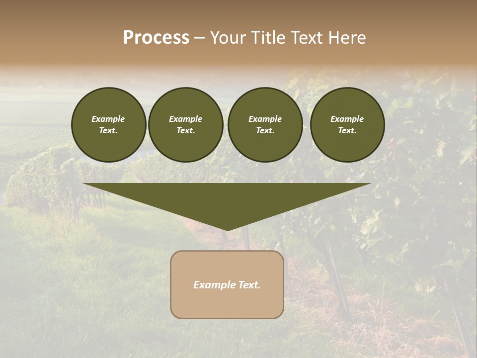 Countryside Landscape Winery PowerPoint Template