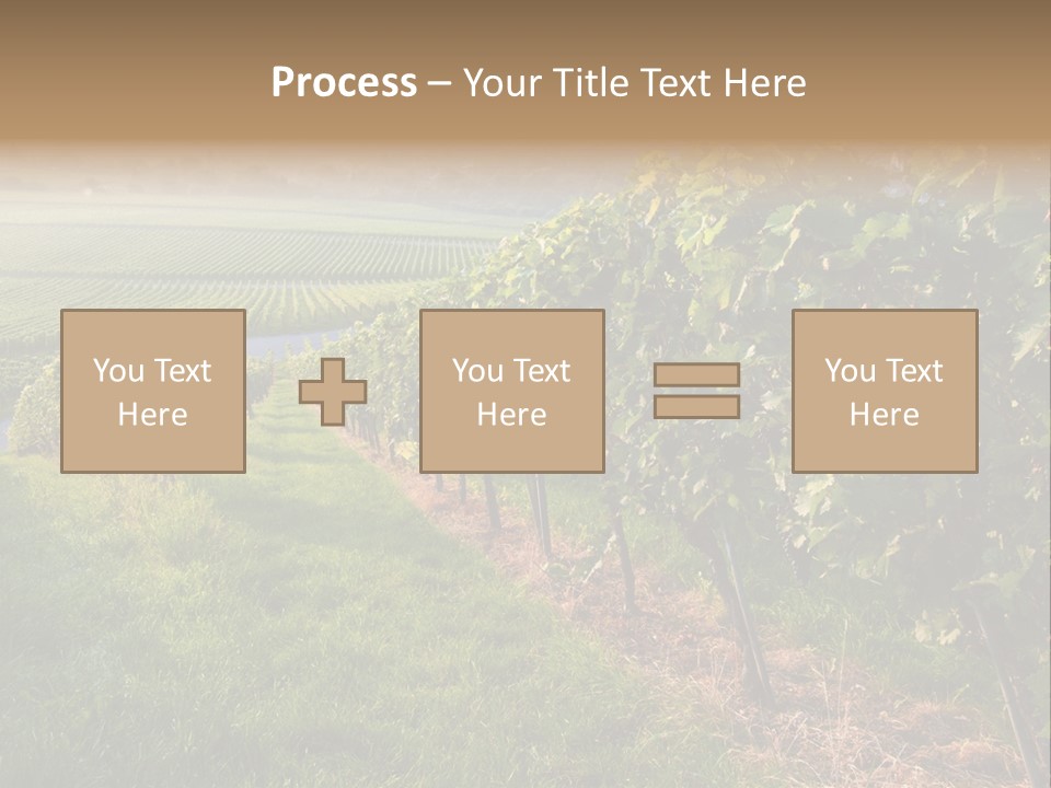 Countryside Landscape Winery PowerPoint Template