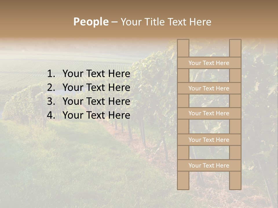 Countryside Landscape Winery PowerPoint Template