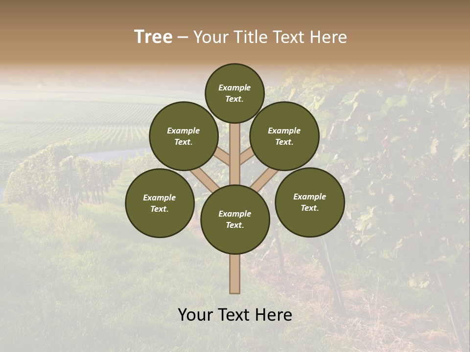 Countryside Landscape Winery PowerPoint Template